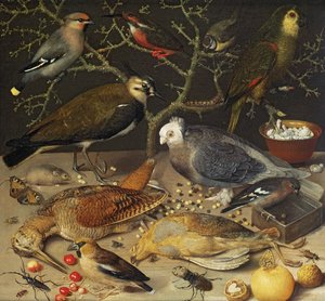 鳥と昆虫の静物、1637